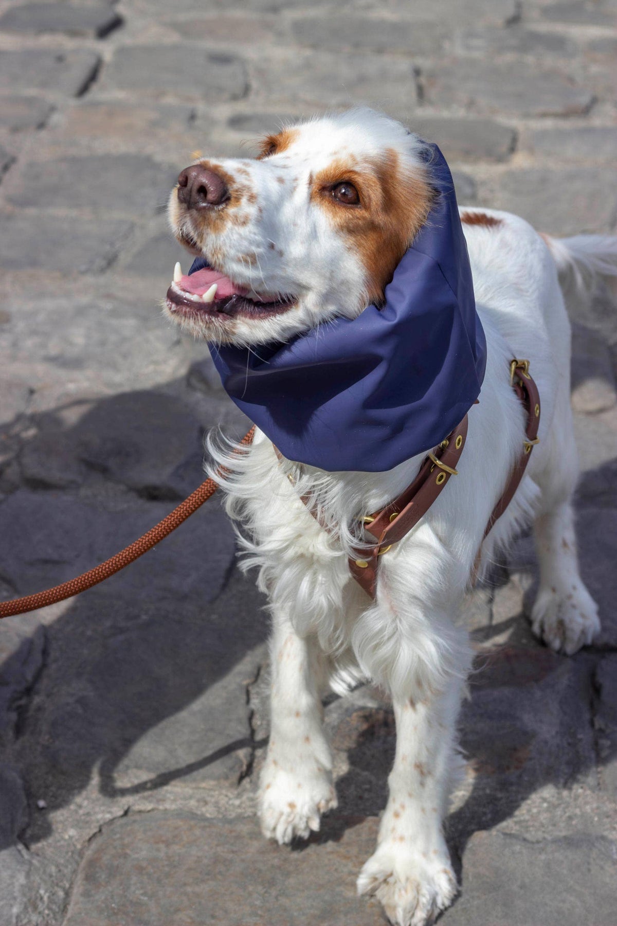 Skye waterdichte en omkeerbare snood voor honden