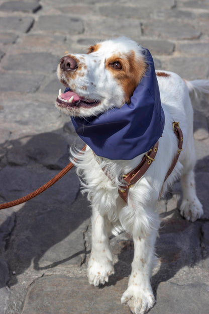 Skye waterdichte en omkeerbare snood voor honden