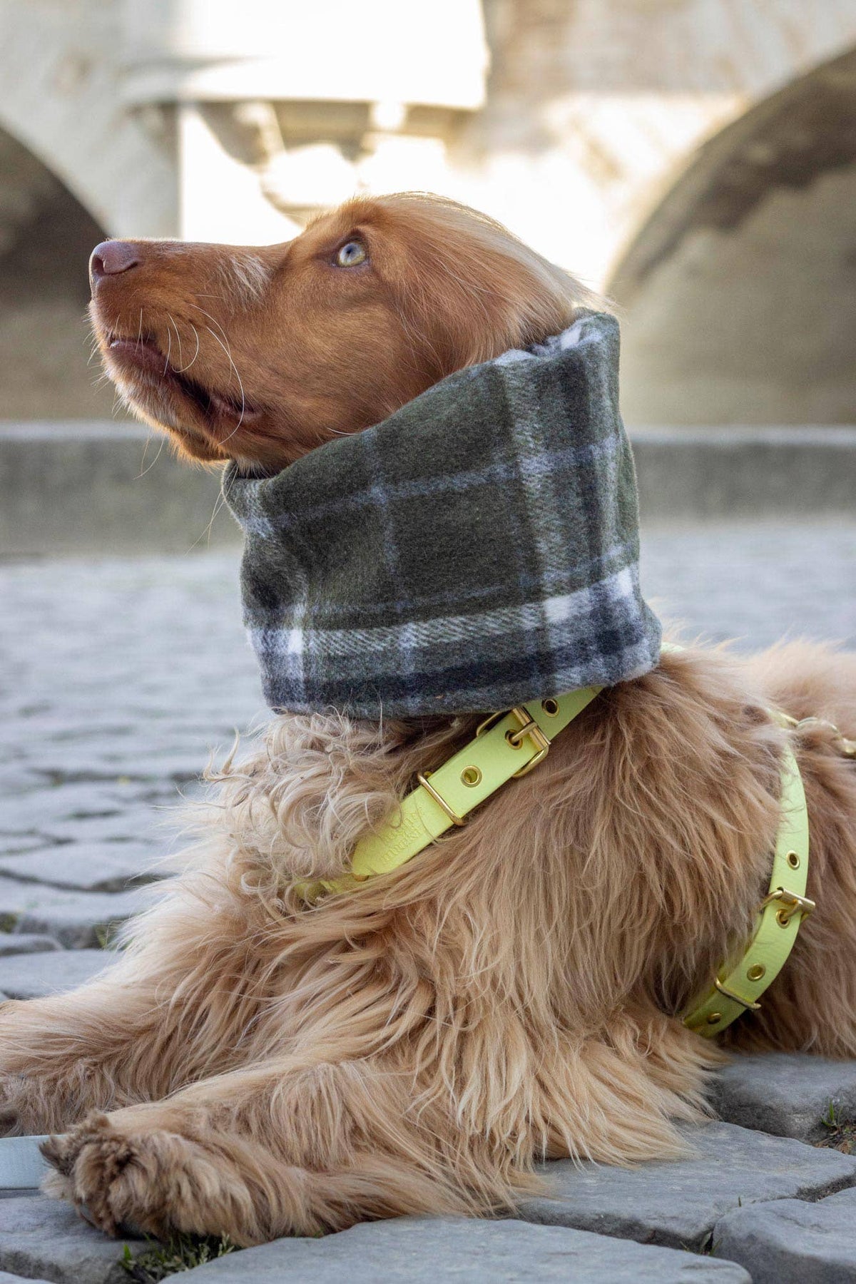 Waterdichte en omkeerbare Harris-snood