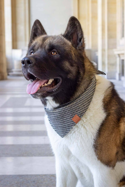 Cambon bandana voor honden