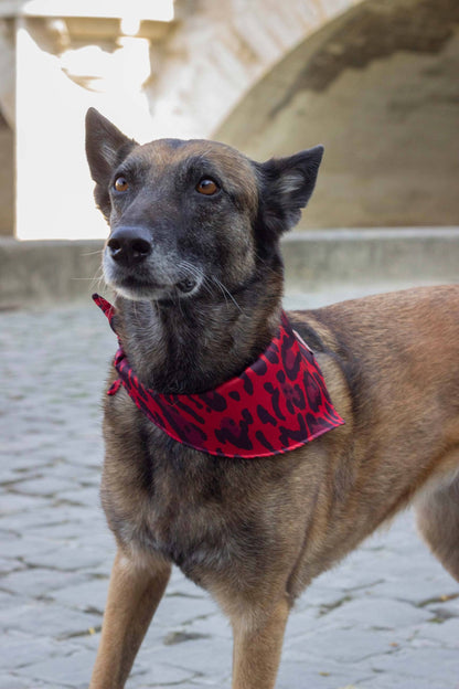 Bandana Django