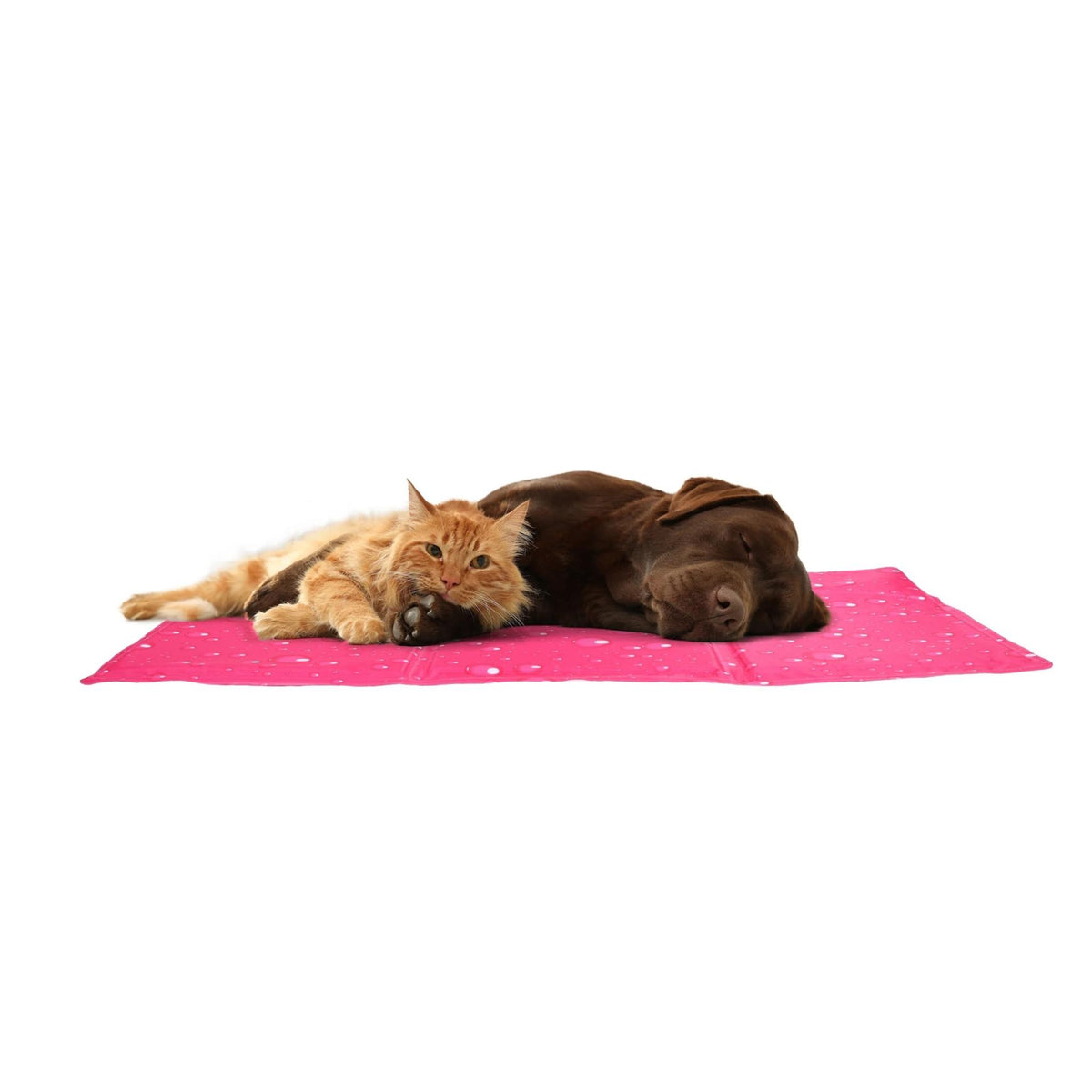 Koelmat Drop Rechthoekig Fuchsia