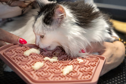 Likmat Jelly meerdere kleuren | Roze - Groen