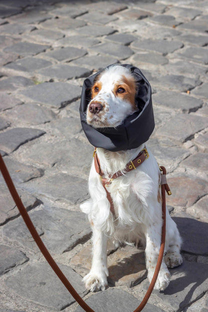 Waterdichte en omkeerbare Oban-snood