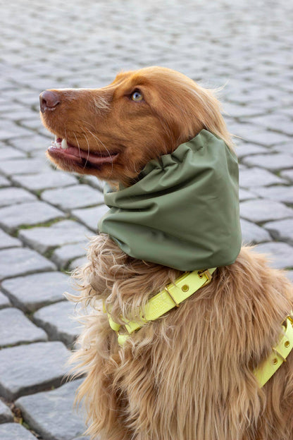 Waterdichte en omkeerbare Harris-snood