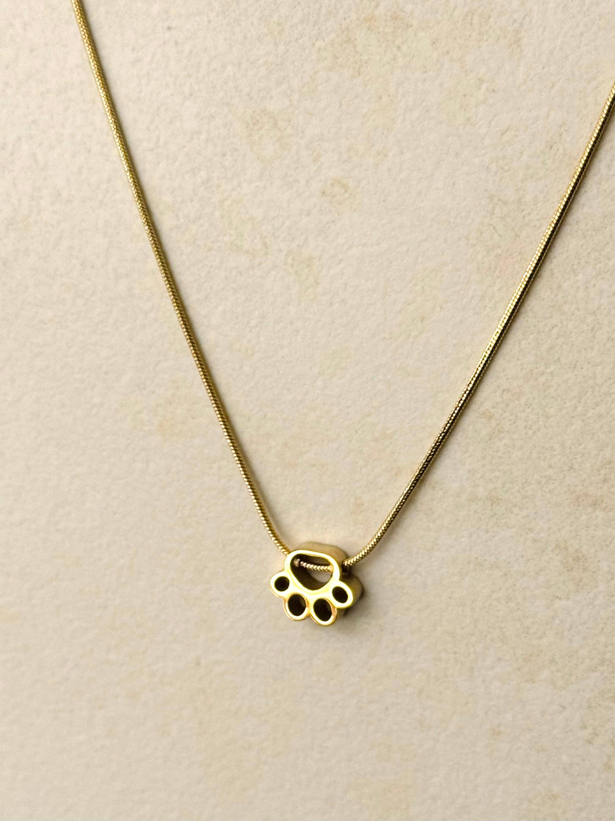 RVS-slangenketting met pootjeshanger