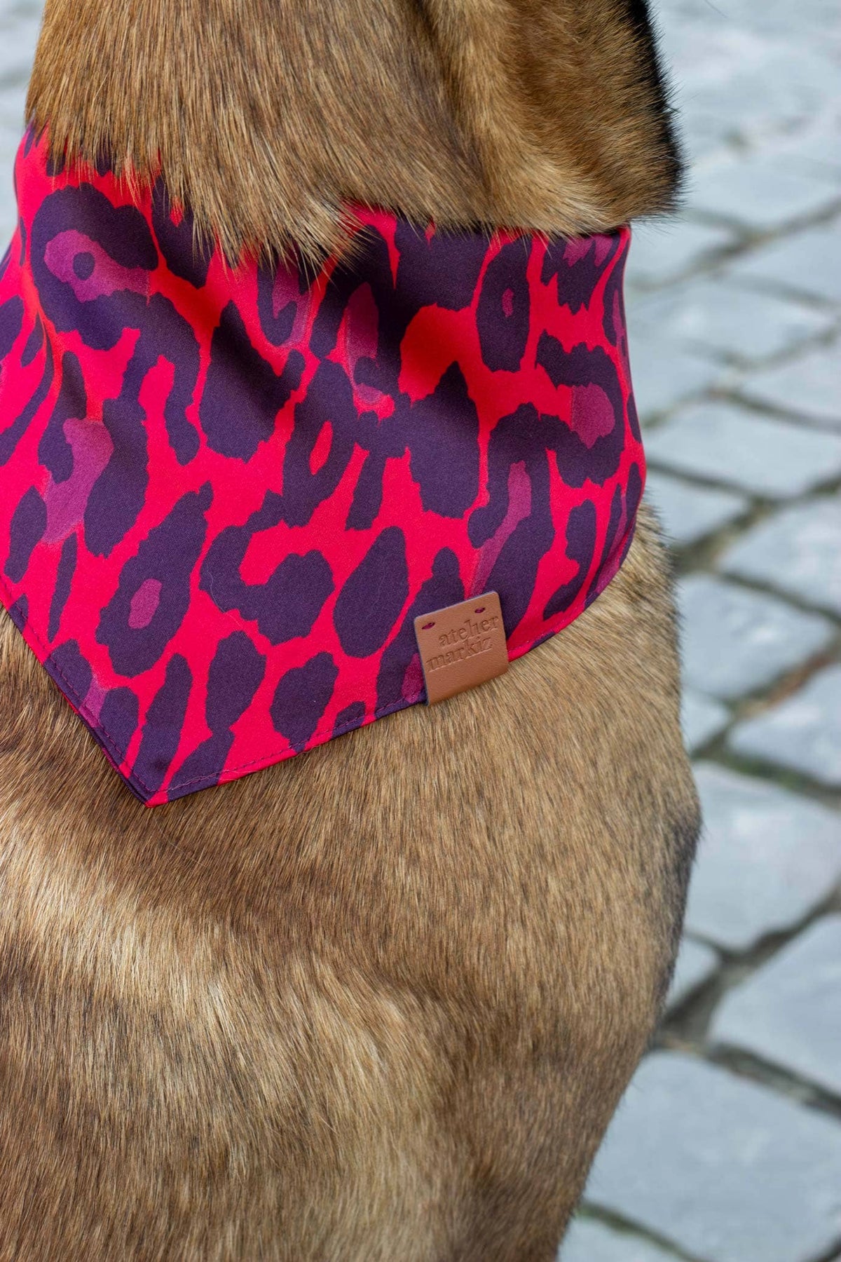 Bandana Django