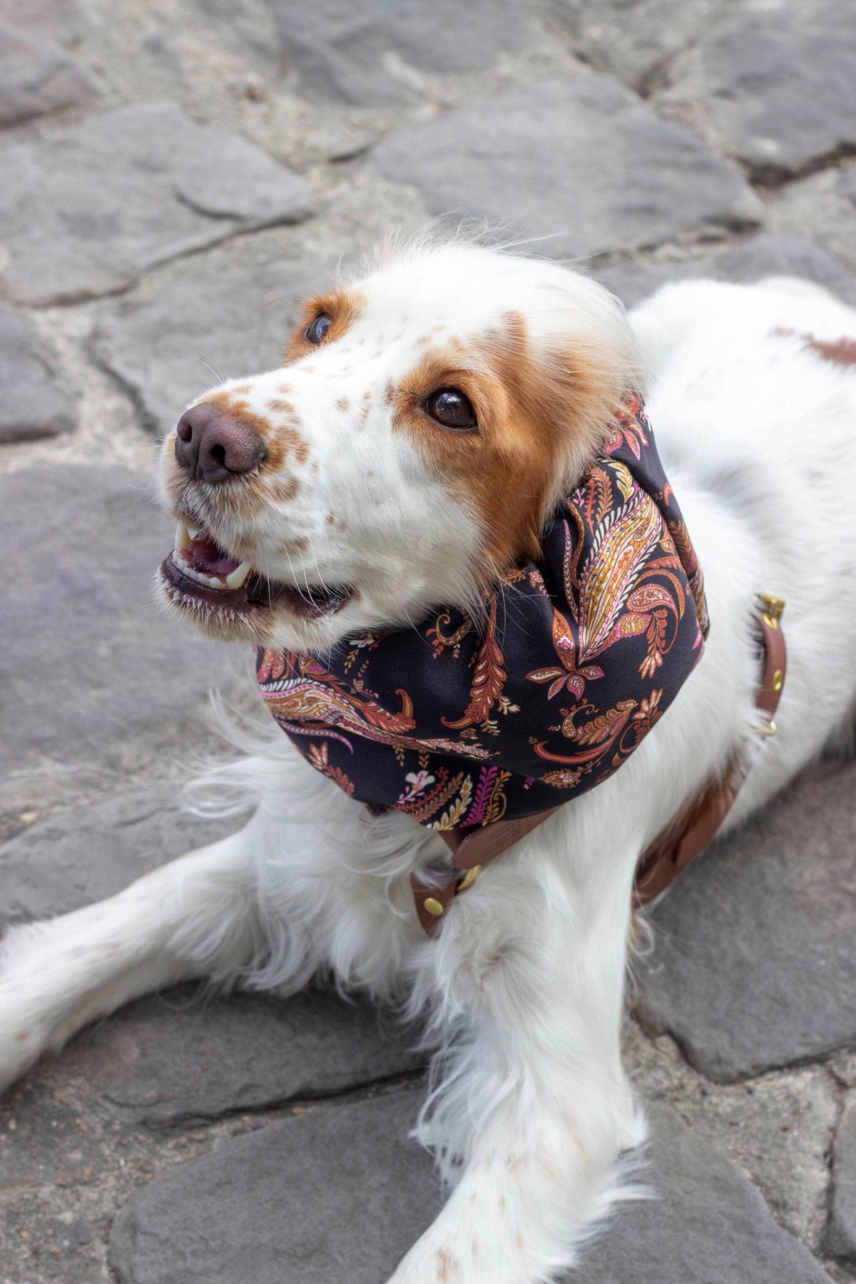 Kashmir snood