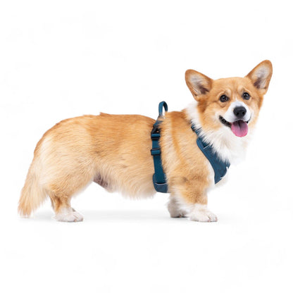 Roam tuig in diep teal met golvend patroon