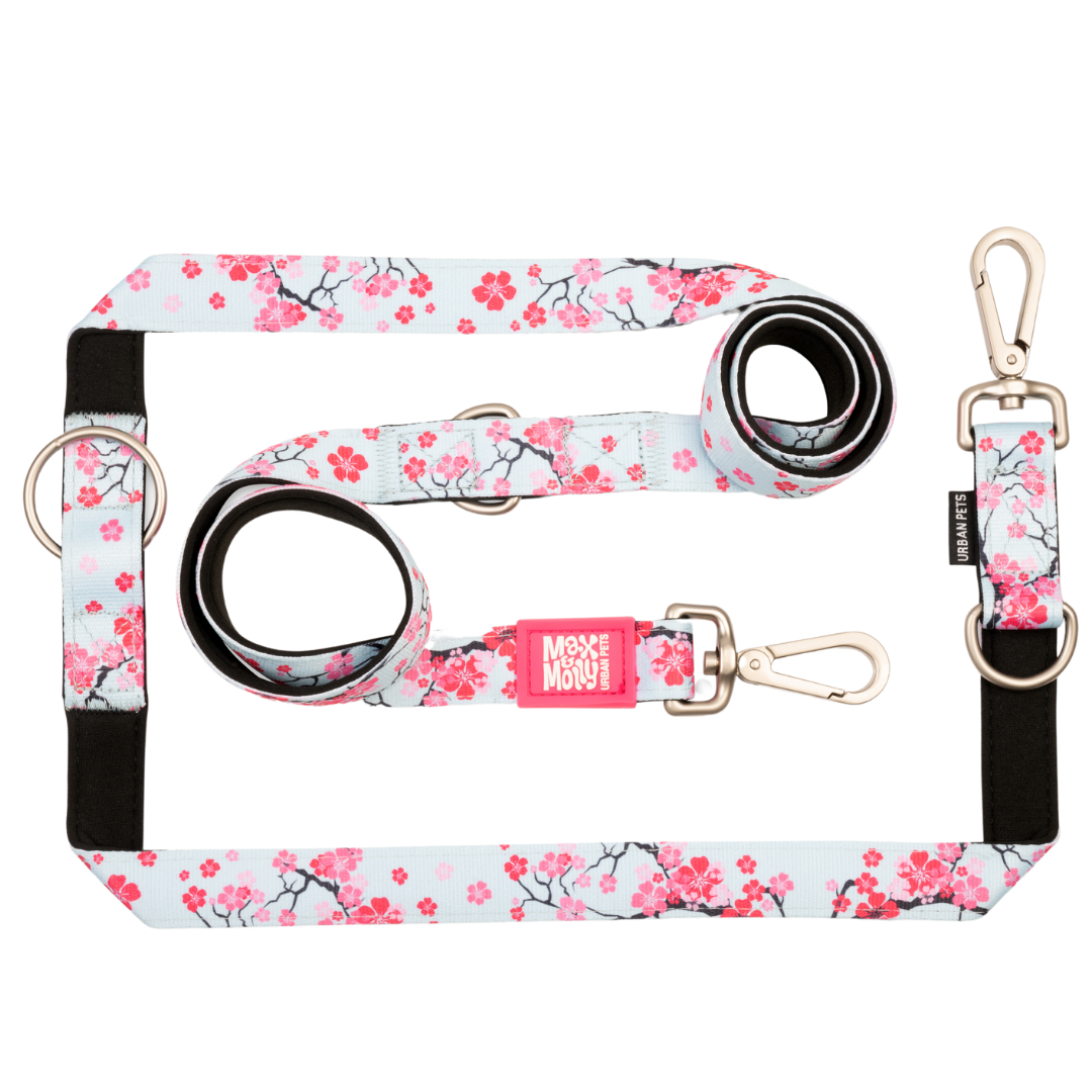 Hondenriem met meerdere functies - Cherry Bloom