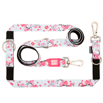 Hondenriem met meerdere functies - Cherry Bloom