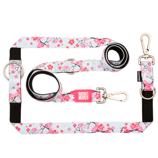 Hondenriem met meerdere functies - Cherry Bloom